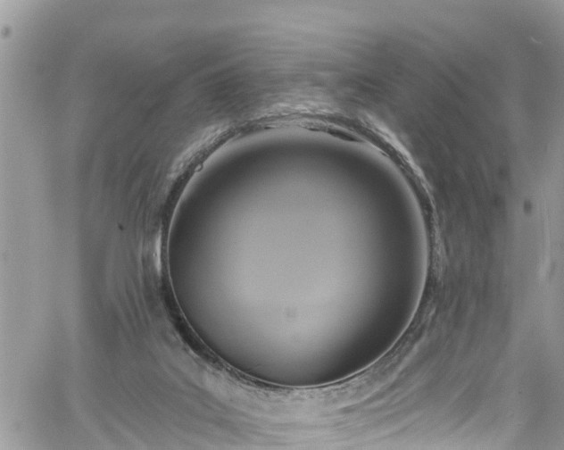 X0000061150019200511211013