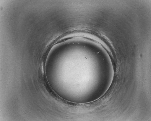 X0000061150020200511211013