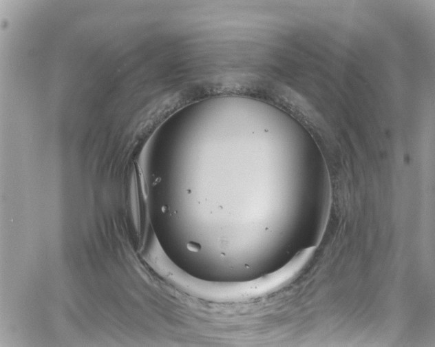 X0000061150022200511211013