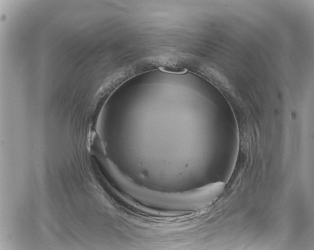 X0000061150023200511211013