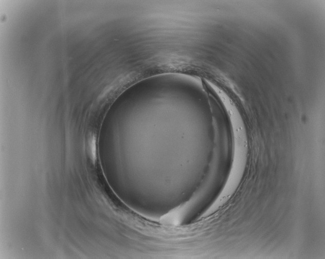 X0000061150027200511211013