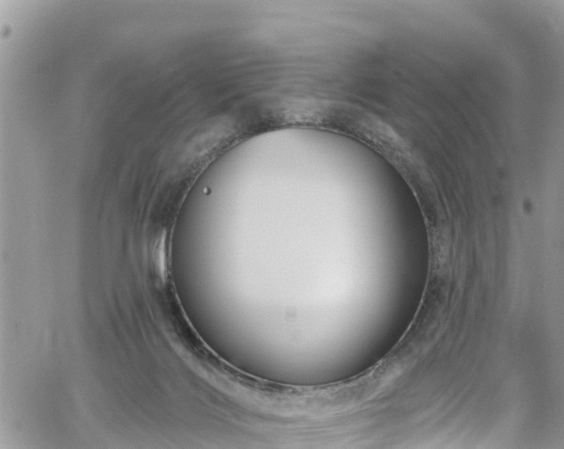 X0000061150028200511211013