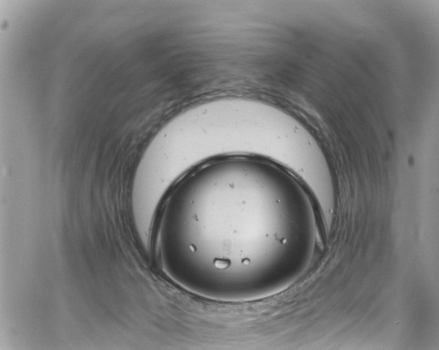 X0000061150029200511211013