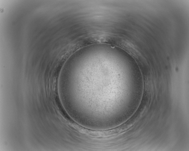 X0000061150030200511211013