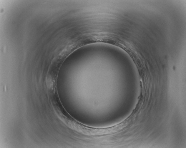 X0000061150031200511211013