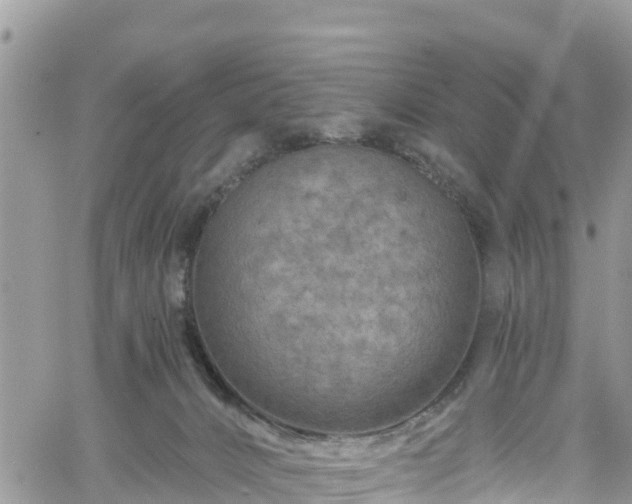 X0000061150032200511211013