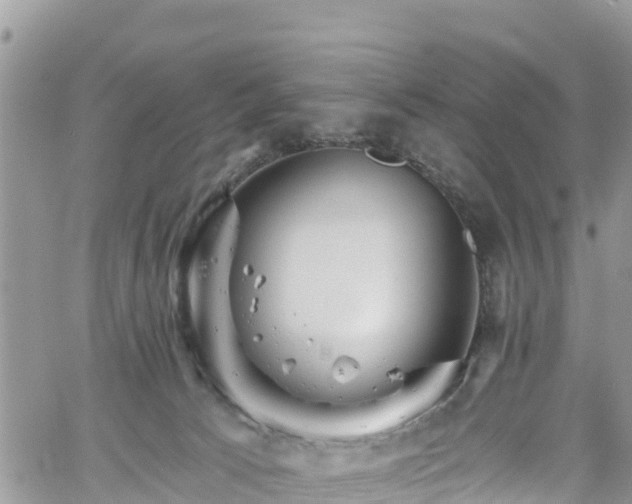 X0000061150033200511211013