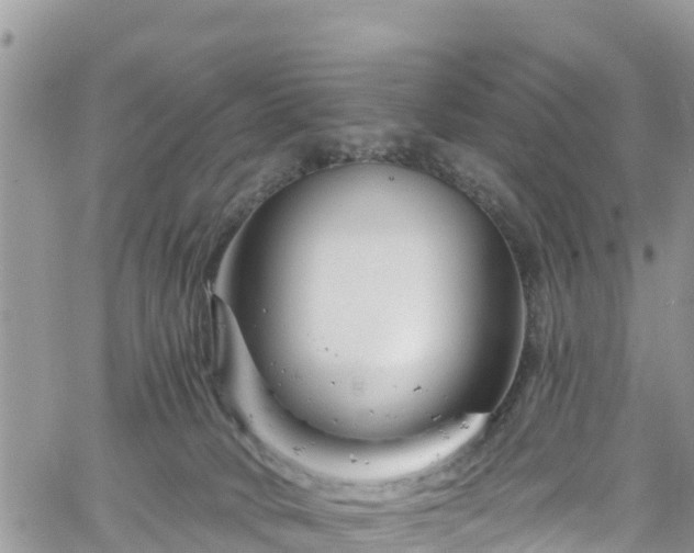 X0000061150034200511211013