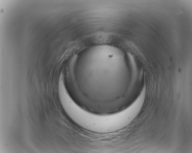 X0000061150035200511211013