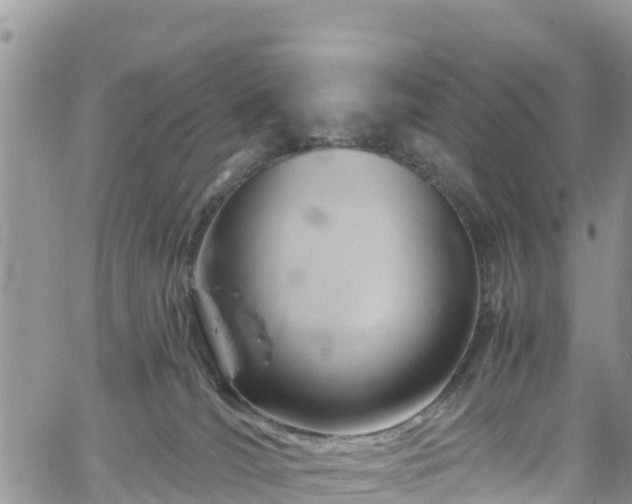 X0000061150036200511211013