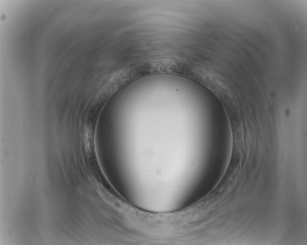 X0000061150038200511211013