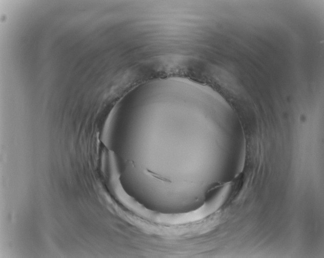 X0000061150039200511211013