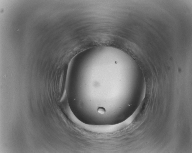 X0000061150040200511211013