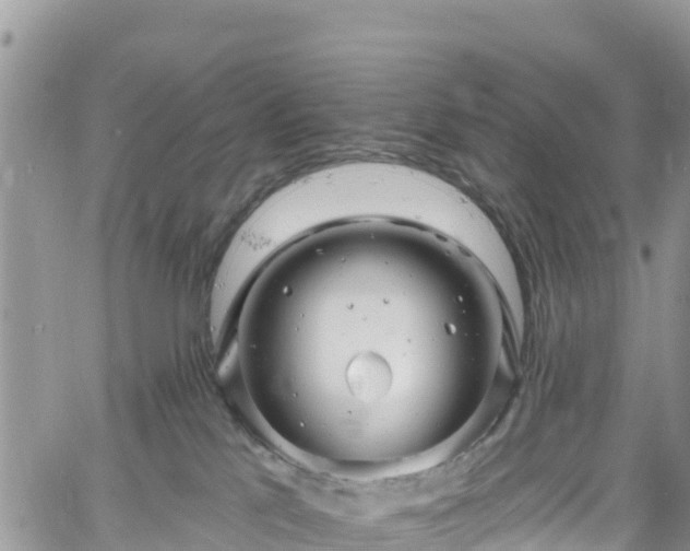 X0000061150041200511211013