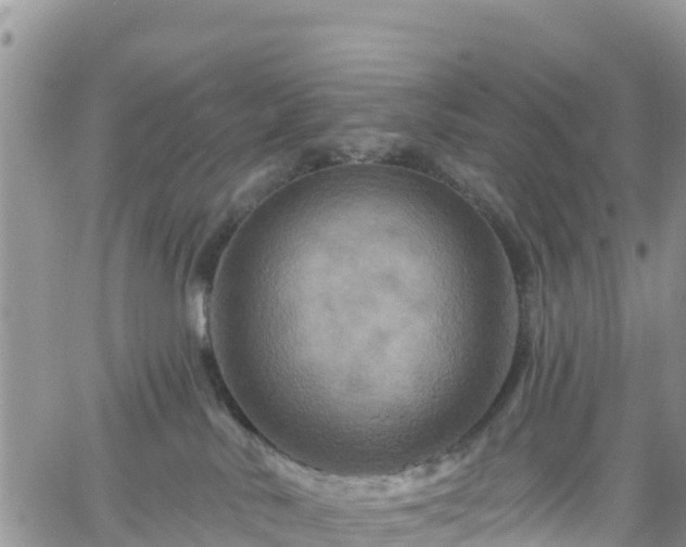 X0000061150042200511211013