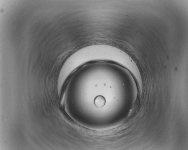 X0000061150043200511211013