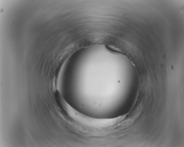 X0000061150044200511211013