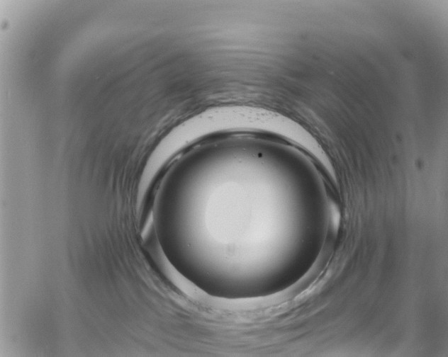 X0000061150045200511211013