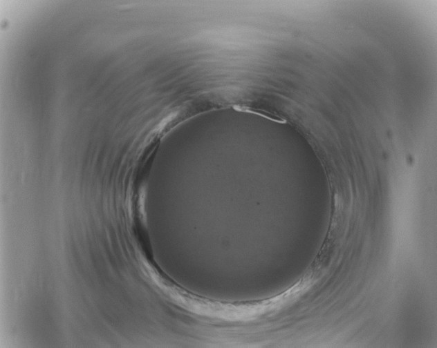 X0000061150048200511211013