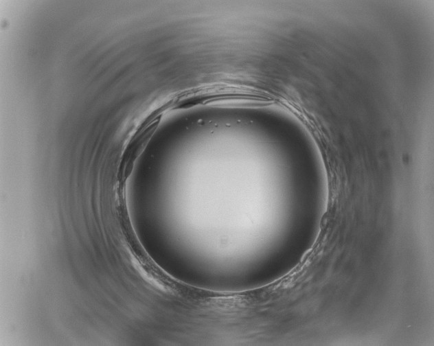 X0000061150050200511211012