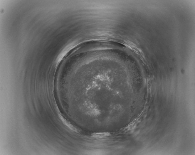 X0000061150051200511211012