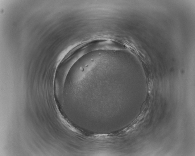 X0000061150052200511211012