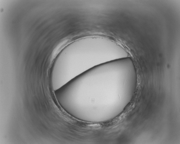 X0000061150053200511211012