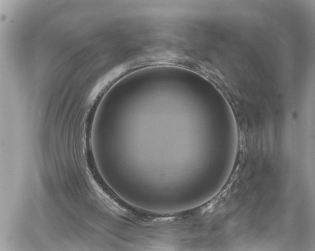 X0000061150054200511211012