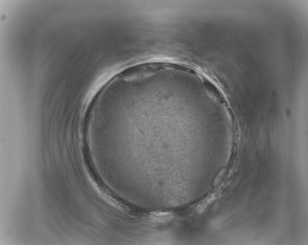 X0000061150055200511211012