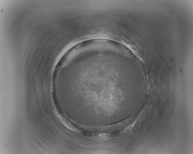 X0000061150056200511211012