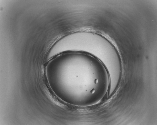 X0000061150057200511211012