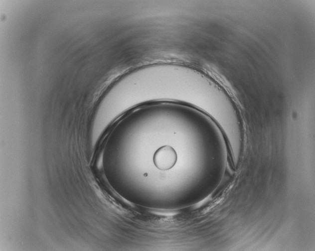 X0000061150058200511211012