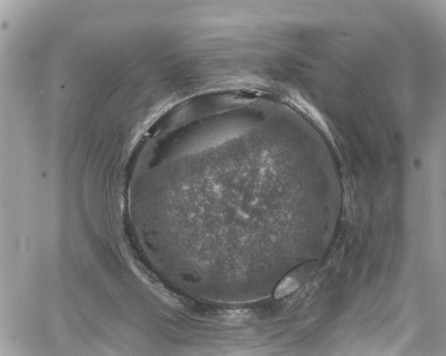 X0000061150059200511211012