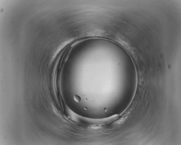 X0000061150060200511211012