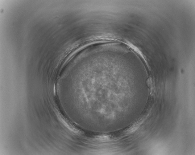 X0000061150061200511211012