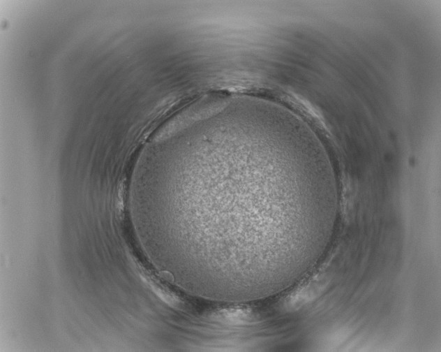 X0000061150065200511211012