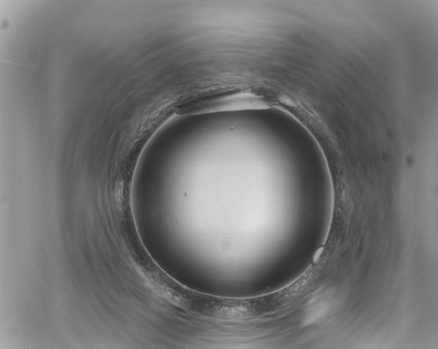 X0000061150066200511211012