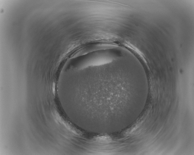 X0000061150067200511211012