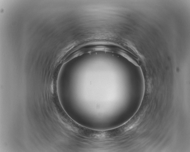 X0000061150068200511211012