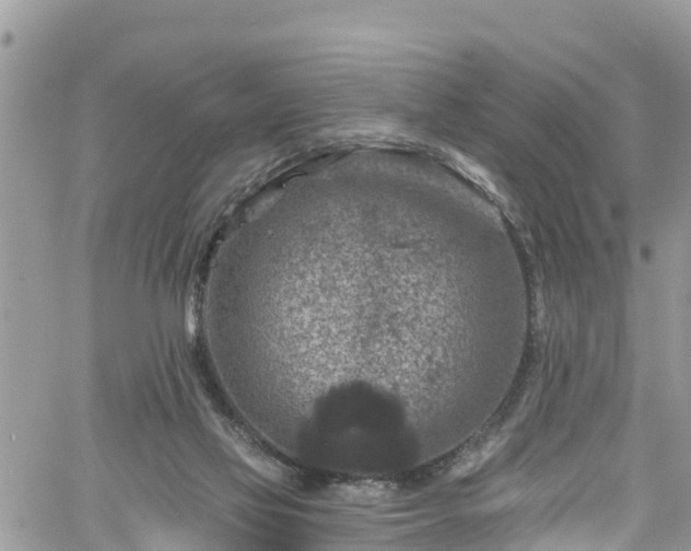 X0000061150069200511211012