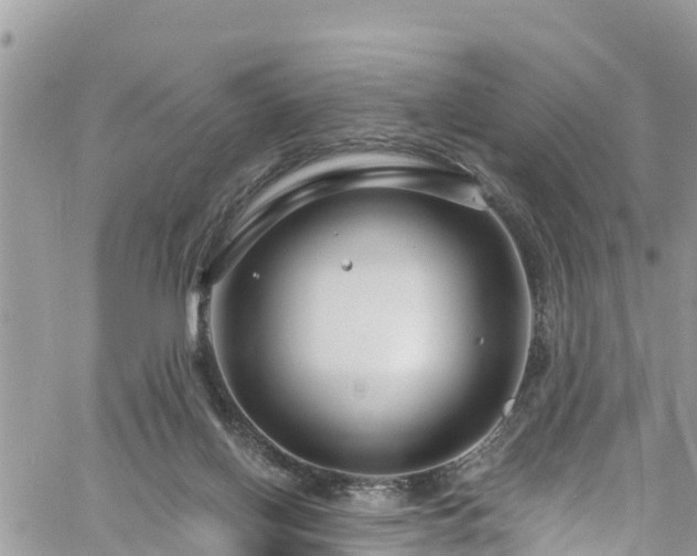 X0000061150070200511211012