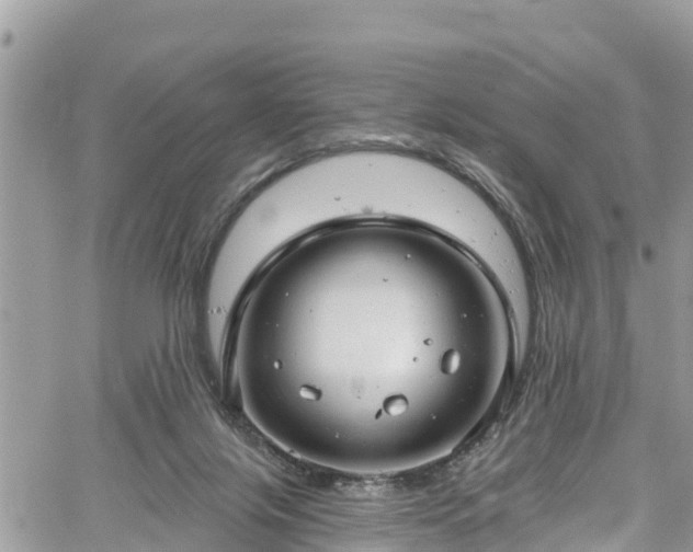 X0000061150071200511211012