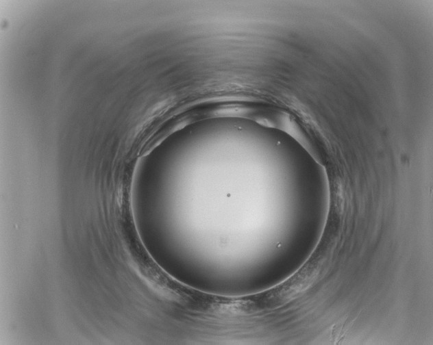 X0000061150072200511211012