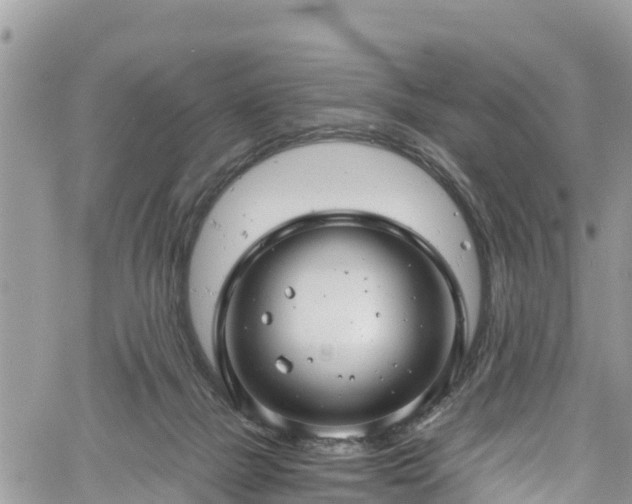 X0000061150073200511211012