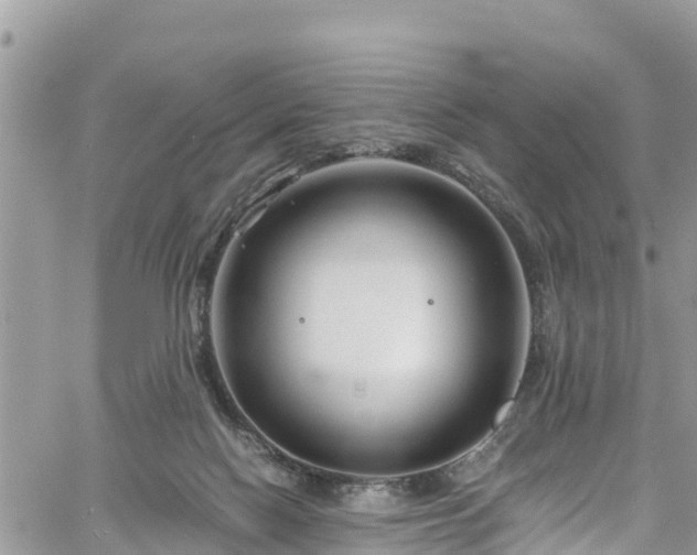 X0000061150074200511211012