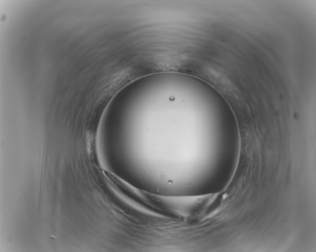 X0000061150075200511211012