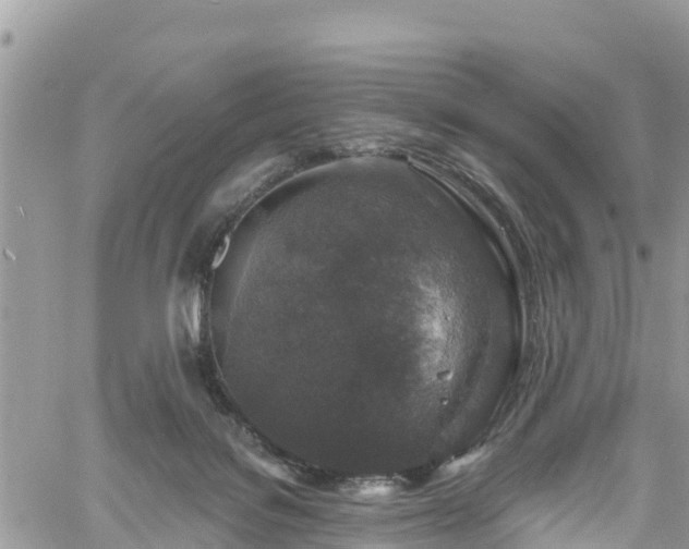 X0000061150076200511211012