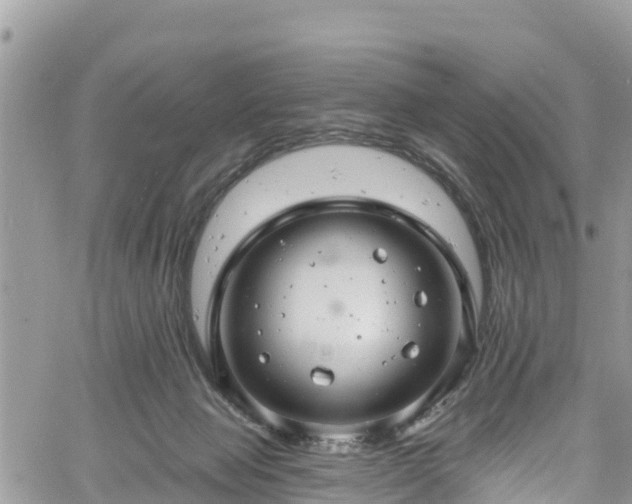 X0000061150077200511211012