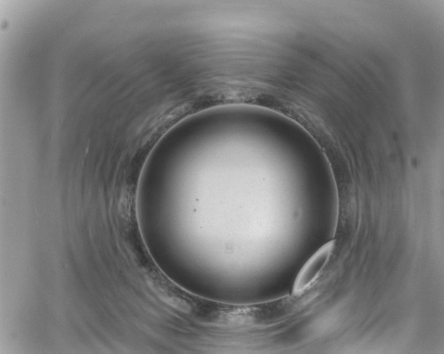 X0000061150078200511211012