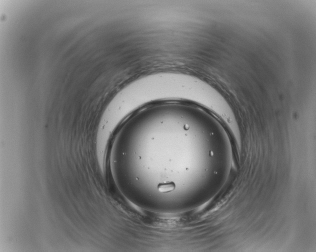 X0000061150079200511211012